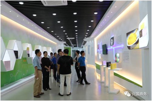 興國今天發(fā)生的事......9.30