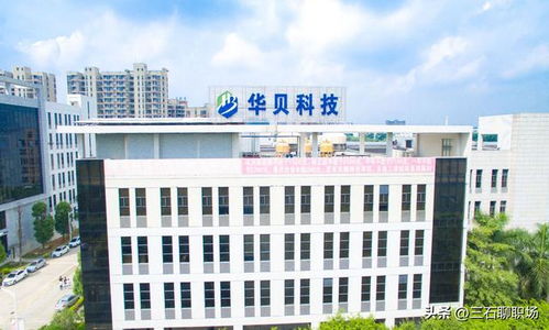 東莞 最好的13家企業 ,待遇感人,有望追趕廣州和深圳 廣東 東莞市 深圳市 廣州市 科技 網易訂閱