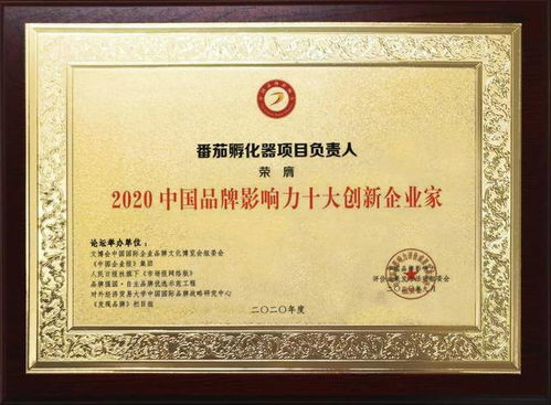 優(yōu)化游戲生態(tài)，引領(lǐng)行業(yè)發(fā)展丨展躍網(wǎng)絡(luò)攬品牌影響力峰會(huì)三項(xiàng)榮譽(yù)