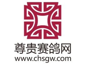 深圳市尊貴科技有限公司 創(chuàng)新引領(lǐng)未來(lái)科技